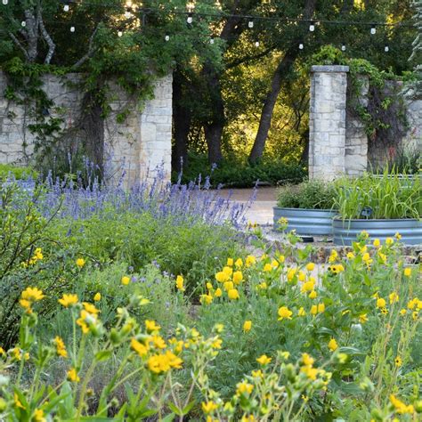 Perennial Ground Covers That Wow - Creating a Lush and Low-Maintenance ...