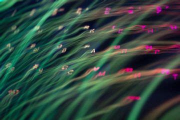 Optical Computing Machine Vision 的图像结果