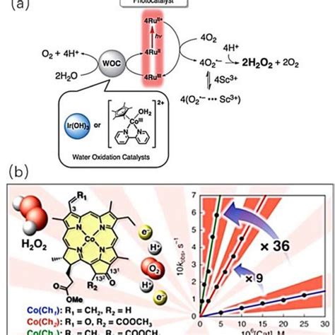 Boosting H2O2 Activation for the Efficient Degradation of Dimethyl ...