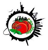 City Hydro Tutorials 的图像结果