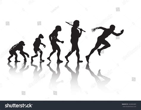 Image result for Evolution Vector
