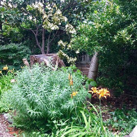 LIZ CHRISTY BOWERY HOUSTON COMMUNITY GARDEN (2025) All You Need to Know ...