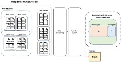 Sequence-Type Classification of Brain MRI for Acute Stroke Using a Self ...