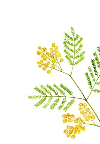 Delhi-Store – Nicobar