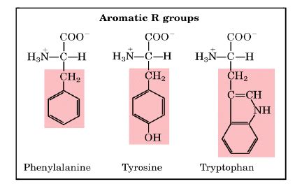 Amino Acids: Properties, Structure and Classification - Organic ...