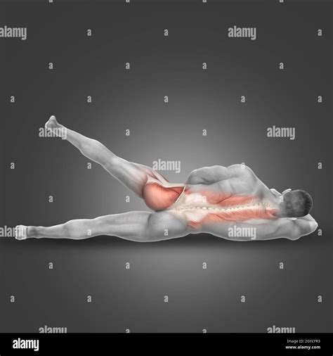 3D render of a male figure in side lying hip abduction pose with ...
