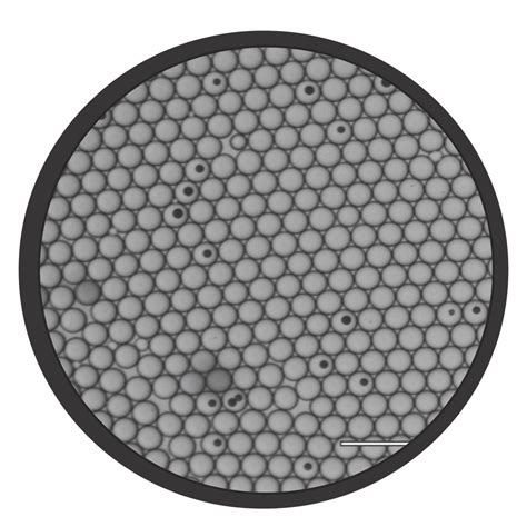 Image result for Transcriptomics technologies Single-cell Transcriptomics