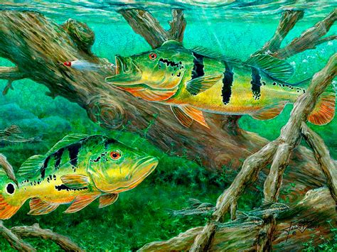 Download Green Cool Fishes Paint Art Wallpaper | Wallpapers.com