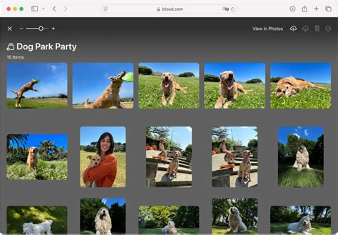 Apple Invites User Guide - Apple Support (IN)