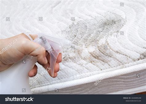 888 Indoor Mold Growth Images, Stock Photos & Vectors | Shutterstock