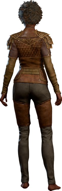 File:Leather Armour +2 Human Back Model.webp - bg3.wiki