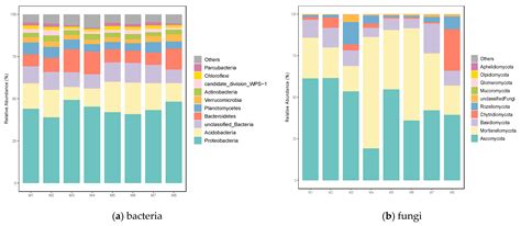 Structure and Function Analysis of Cultivated Meconopsis integrifolia ...