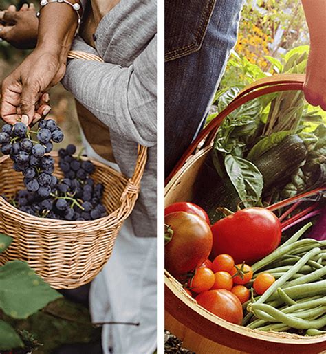 About Us || Asia House || Get Your Top Quality Vegetables Foods ...