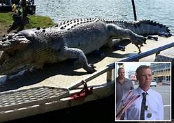 Man killed by 40 crocs 的图像结果