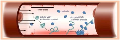 Metabolites | An Open Access Journal from MDPI