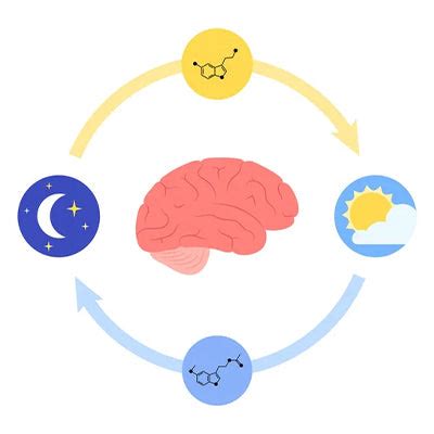 Why Do We Forget Our Dreams? And how you can remember them.