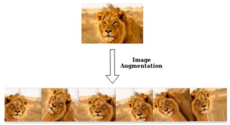 Image result for Deep Learning Data Augmentation