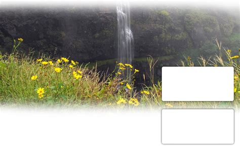 OM Tourism : Honeymoon, Family, Corporate, Pilgrimage, Jungle Trail ...