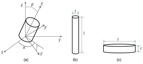 Theoretical Evaluation of Water Cloud Model Vegetation Parameters
