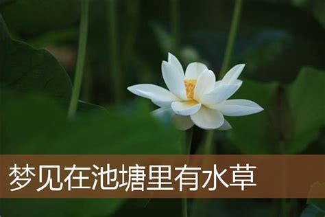 草编蒲团坐垫瑜伽打坐拜佛禅修垫榻榻米草垫飘窗垫窗台垫厂家批发-阿里巴巴