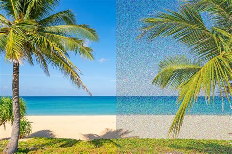 Image result for Visual Snow Simulator