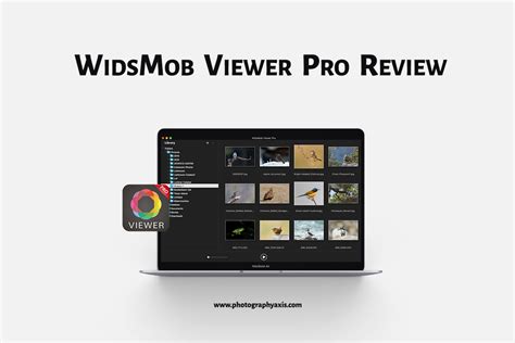 WidsMob Viewer Pro Review- Is it the Best Mac Photo Viewer? - PhotographyAxis