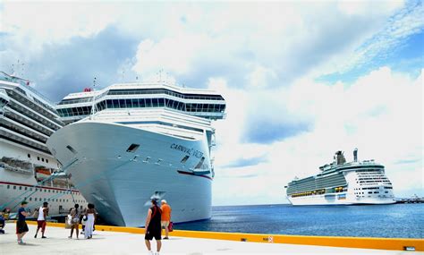 Cruises