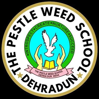 Treamis World School, Bengaluru, Karnataka: Where Learning Meets ...