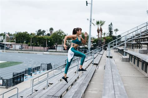 Image result for Isometric Core Exercises