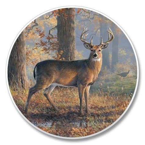 Legend Buck - Auto Coaster : Amazon.in: Home & Kitchen