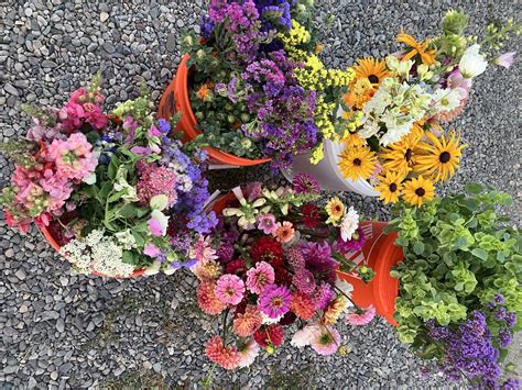Farmer Meetup: Cut Flowers - Certified Naturally Grown