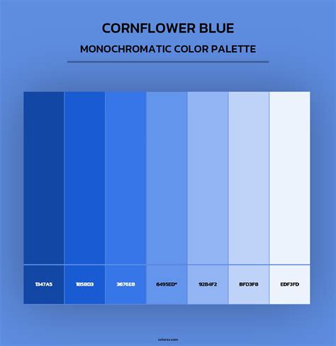 Cornflower Blue color palettes - colorxs.com