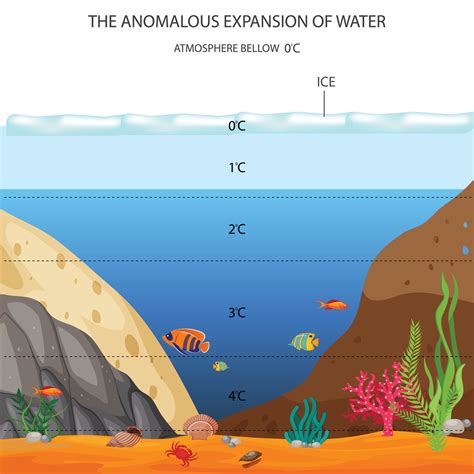 Behavior Of Water