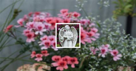 Obituary | Lorrie Ann Prince of Cookeville, Tennessee | Whitson Funeral ...