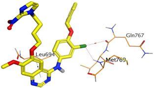 Design, Synthesis, Biological Evaluation, and Molecular Dynamics ...