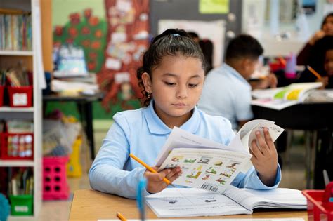 Learning Community Logo 的图像结果