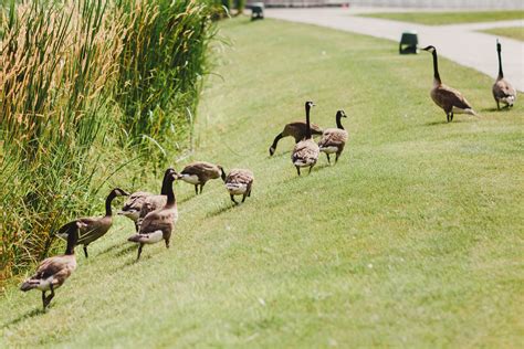 Beautiful & Stylish Arlington Estate Wedding Photography by Avangard ...