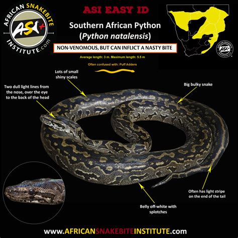Image result for African Python Habitat