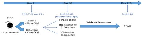 The Effect of Clozapine and Novel Glutamate Modulator JNJ-46356479 on ...