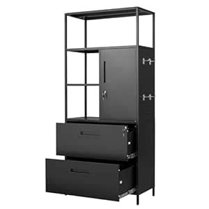 Letaya 2 Drawer File Cabinets with Storage Shelf,Vertical Metal Printer ...