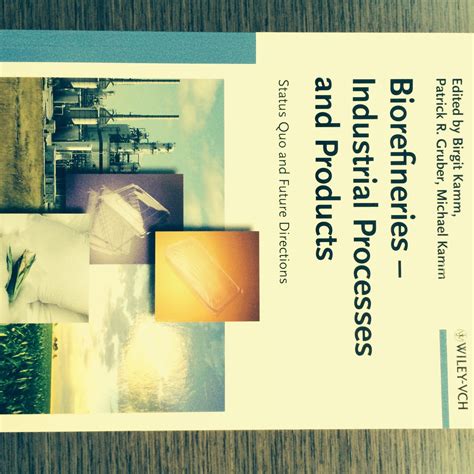 Biorefineries - Industrial Processes and Products: Status Quo and ...
