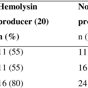 Image result for Enterococcus Faecalis Hemolytic Activity