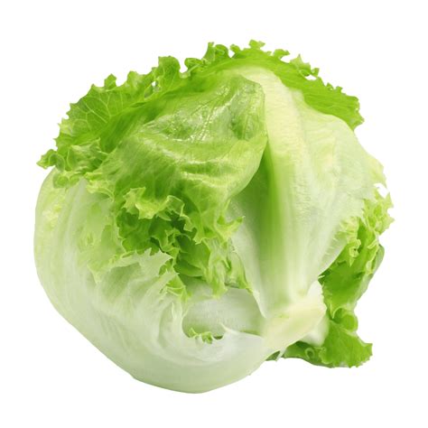 Agrosabas - Cultivating freshness in every leaf