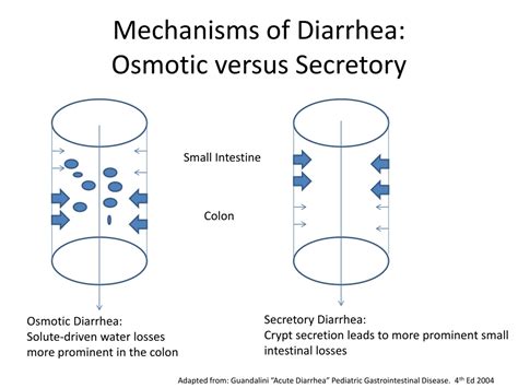 Antibiotic side effect diarrhea