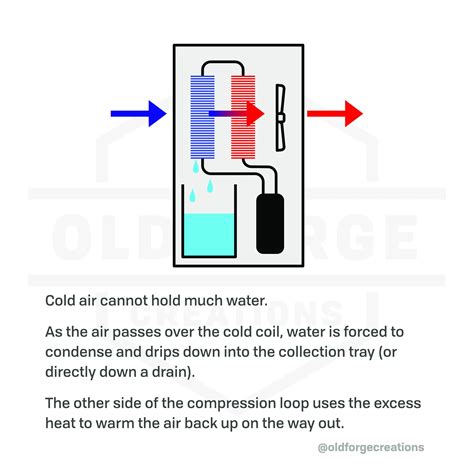 Dehumidifiers - Should You Have One? - Old Forge Creations