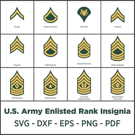 Buy American Military Enlisted Ranks SVG, DXF, EPS, Pdf, Png Instant ...