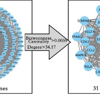 Image result for Core Target