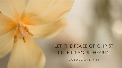 Let the Peace of Christ Rule in Your Hearts