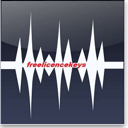 Image result for WavePad Sound Editor Code