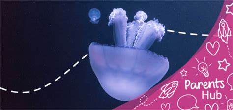 Examples of Similes for Kids